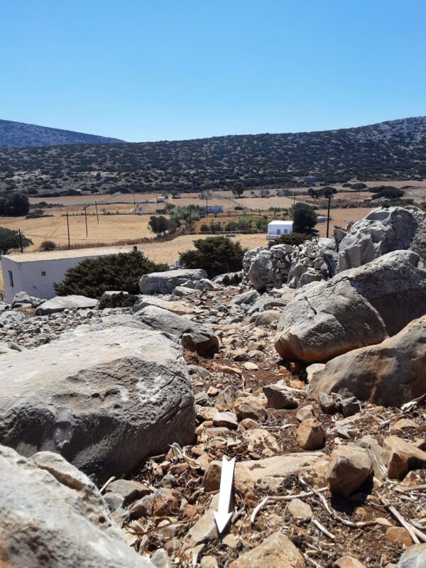 X4 - Image 5