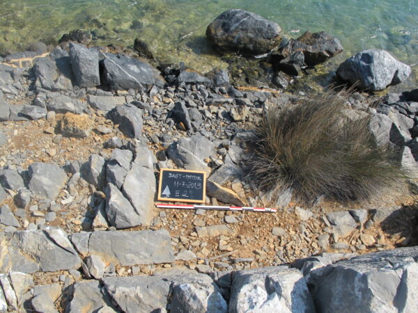 E 2 - Image 2