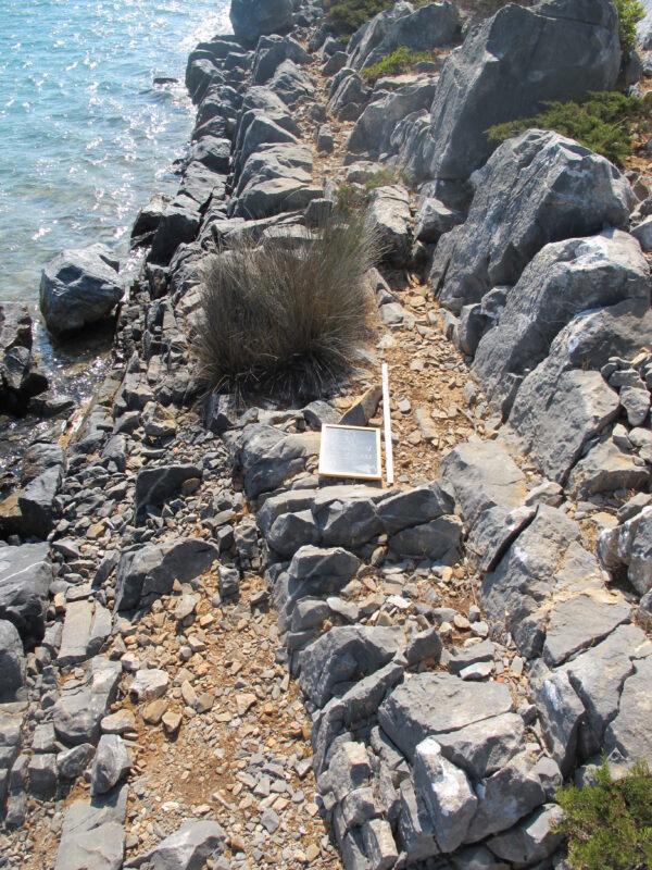 E 2 - Image 3