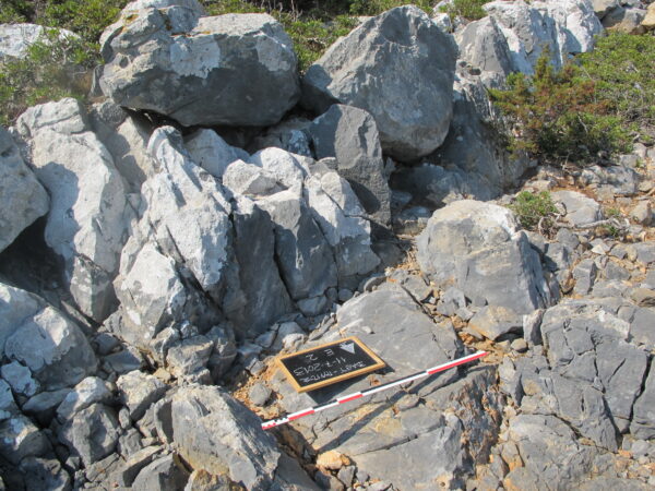 E 2 - Image 5