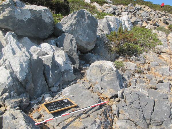 E 2 - Image 6