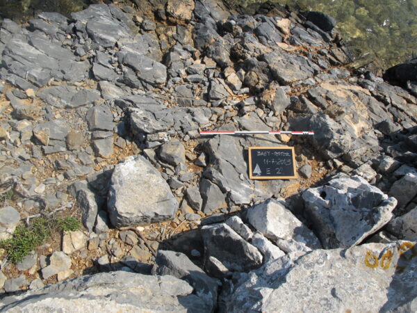 E 2 - Image 7