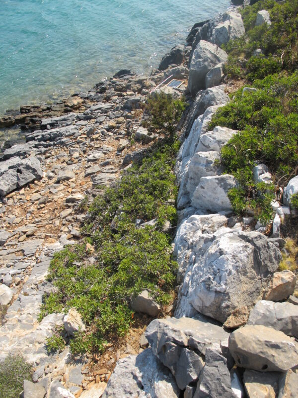 E 2 - Image 9