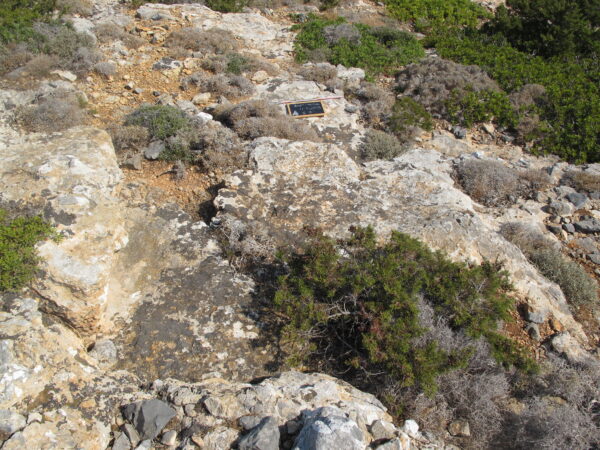 E 8 - Image 2