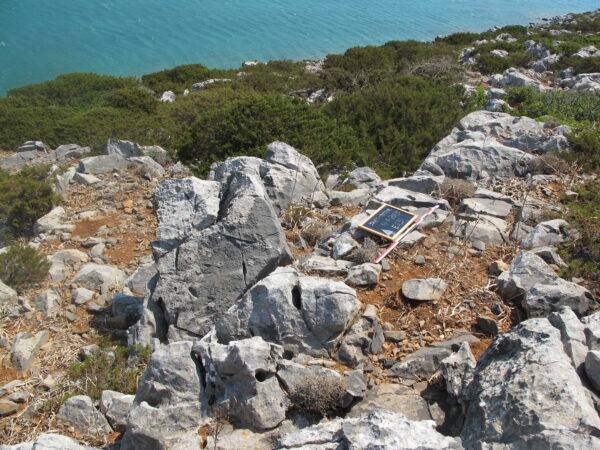 E 13 - Image 2