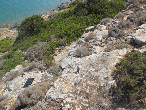 E 8 - Image 3