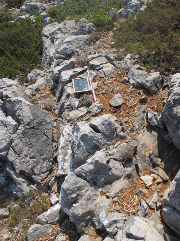 E 13 - Image 3
