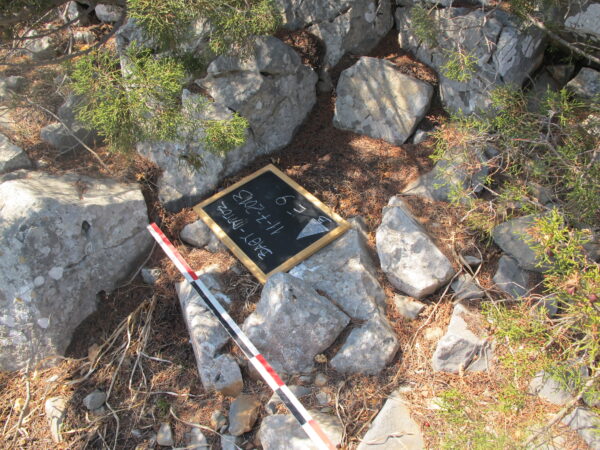 E 9 - Image 4