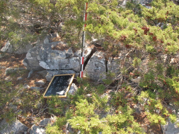 E 9 - Image 5