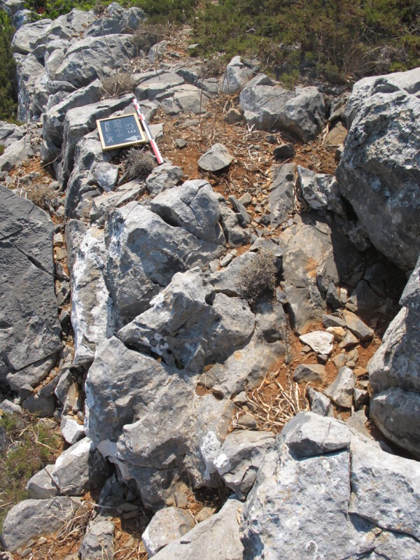 E 13 - Image 5