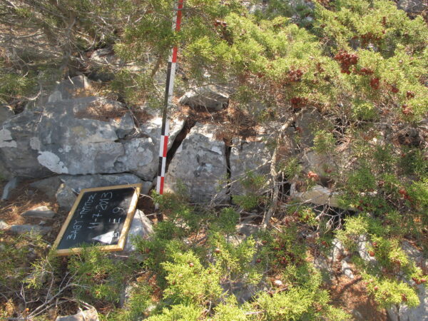 E 9 - Image 6