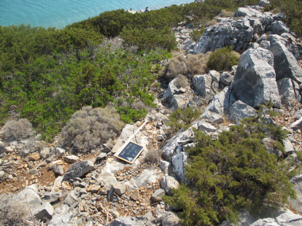 E 8 - Image 6