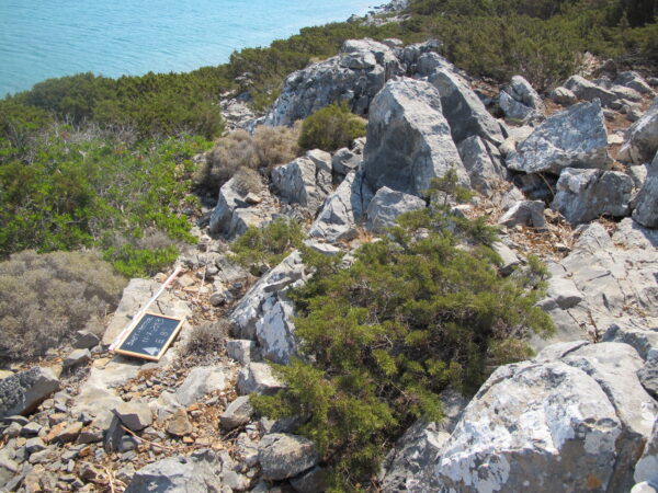 E 8 - Image 7