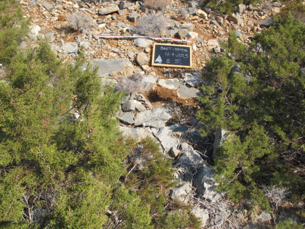 E 5 - Image 3