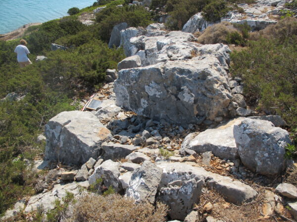 E 6 - Image 5