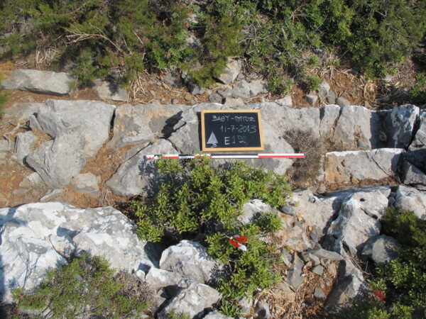 E 12 - Image 2
