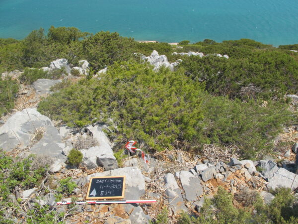 E 14 - Image 2