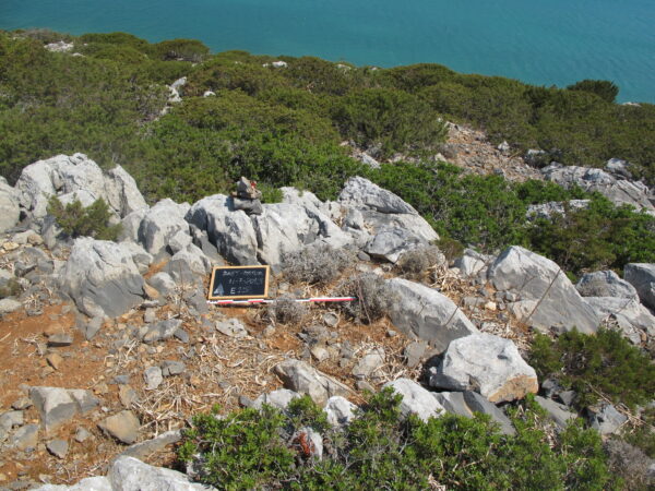 E 15 - Image 2