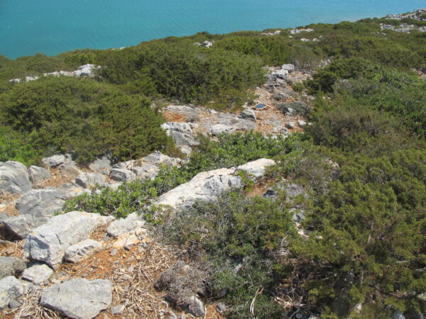 E 16 - Image 2