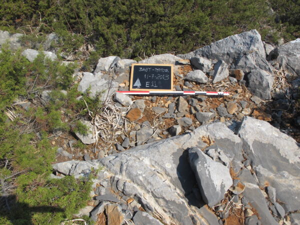 E 11 - Image 2