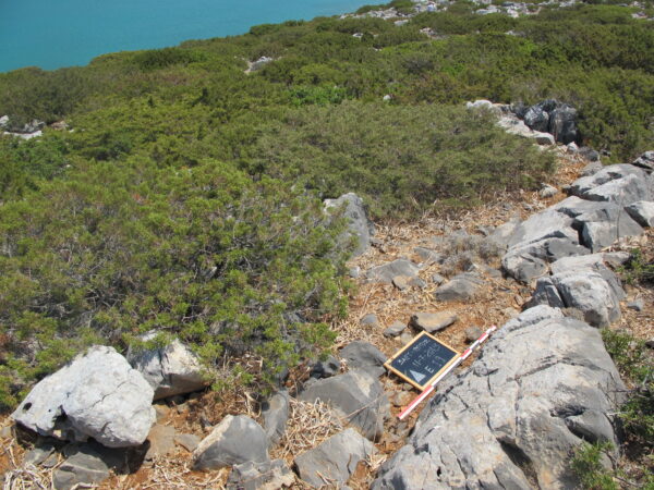 E 19 - Image 2