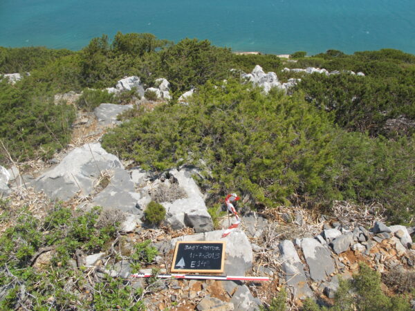 E 14 - Image 3