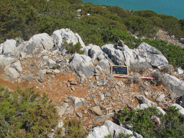 E 15 - Image 3