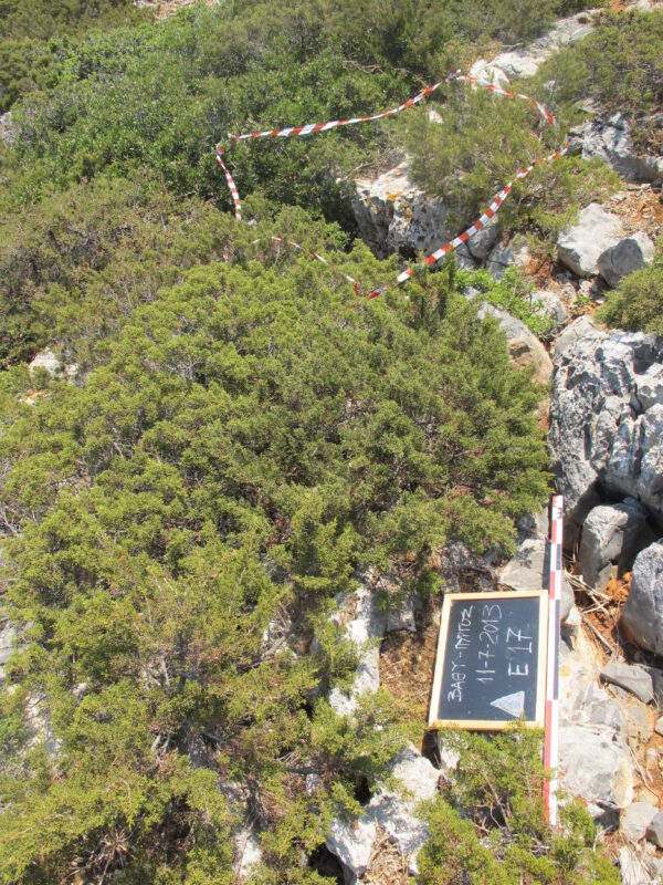 E 17 - Image 3