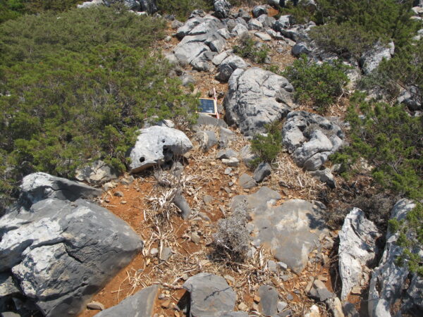 E 19 - Image 3