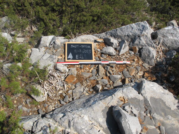 E 11 - Image 3