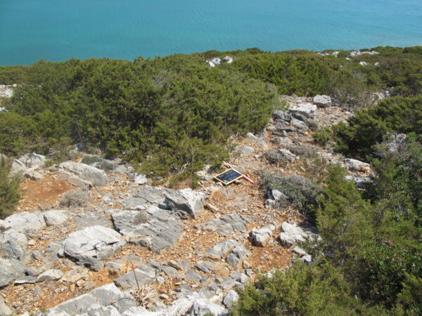 E 16 - Image 4