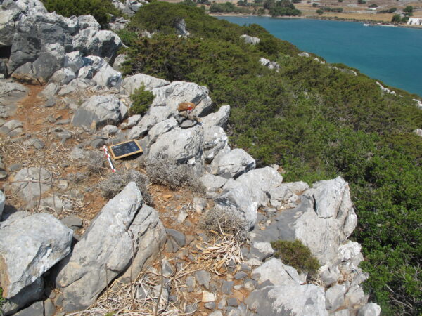 E 15 - Image 4