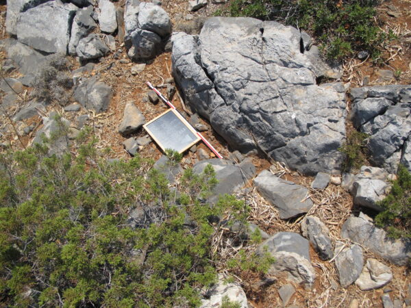 E 19 - Image 5