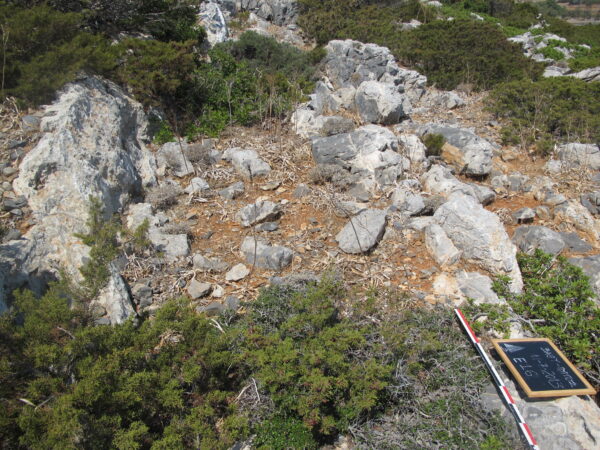 E 16 - Image 5