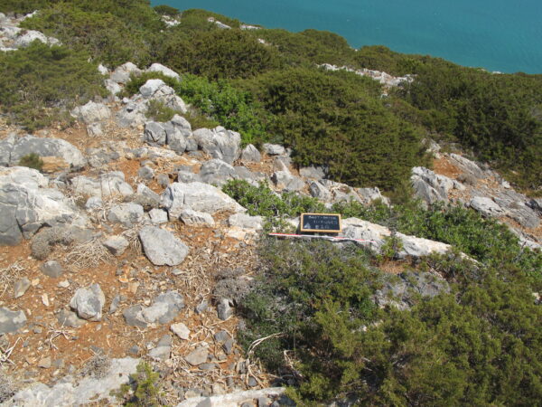 E 16 - Image 6