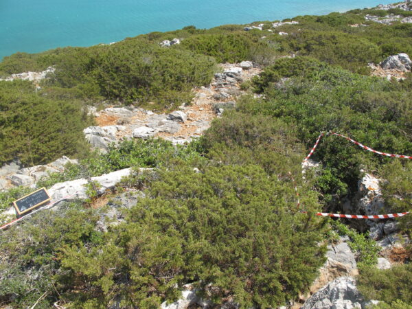 E 16 - Image 8