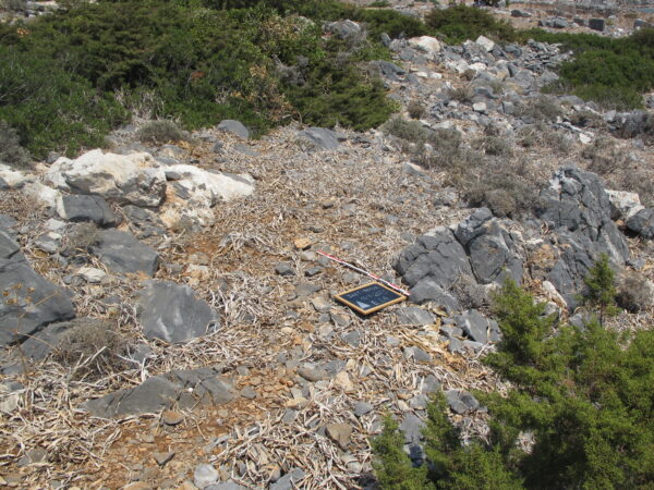 E 24 - Image 2