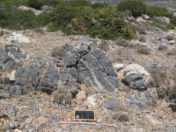 E 24 - Image 3