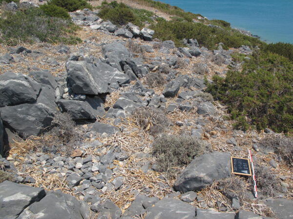 E 28 - Image 4