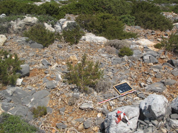 E 22 - Image 2