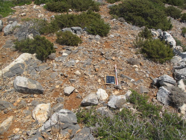 E 23 - Image 2