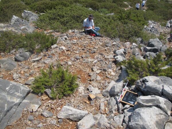 E 21 - Image 2