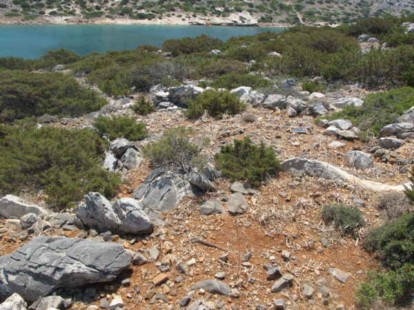 E 23 - Image 3