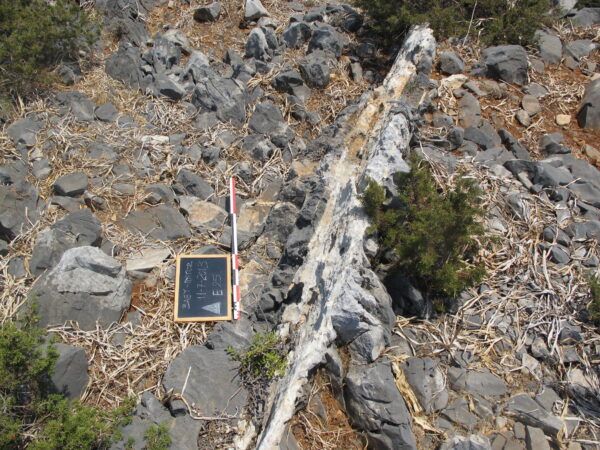E 25 - Image 3