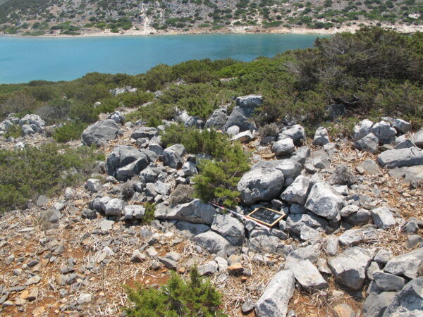 E 21 - Image 3