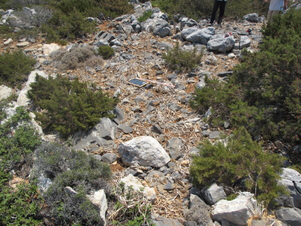 E 22 - Image 4