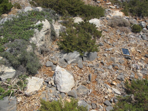 E 22 - Image 5