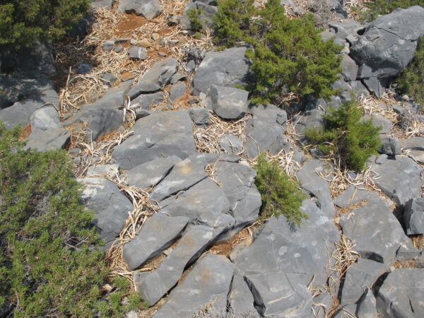 E 25 - Image 5
