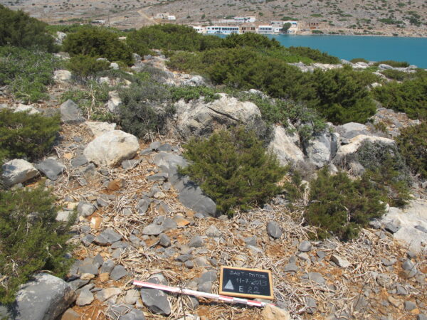 E 22 - Image 6