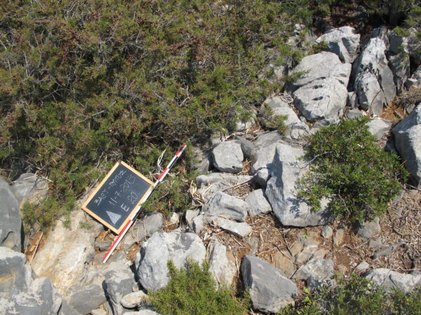 E 20 - Image 3